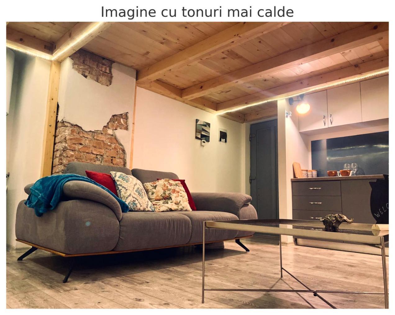 Central Cluj Apartament ภายนอก รูปภาพ